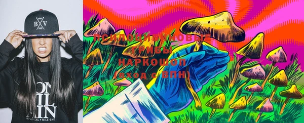 тгк Абаза