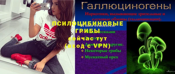 прущие грибы Абдулино